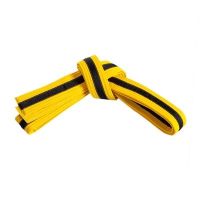 Double Wrap Striped Belt B-4